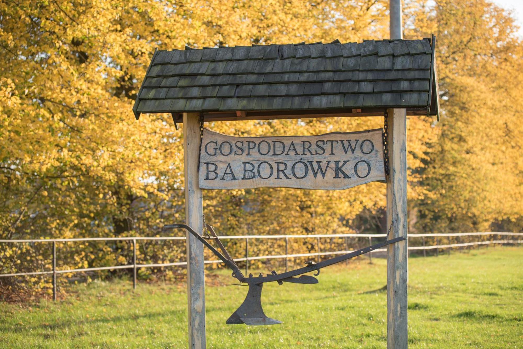 Palac Baborowko Szamotuły Esterno foto