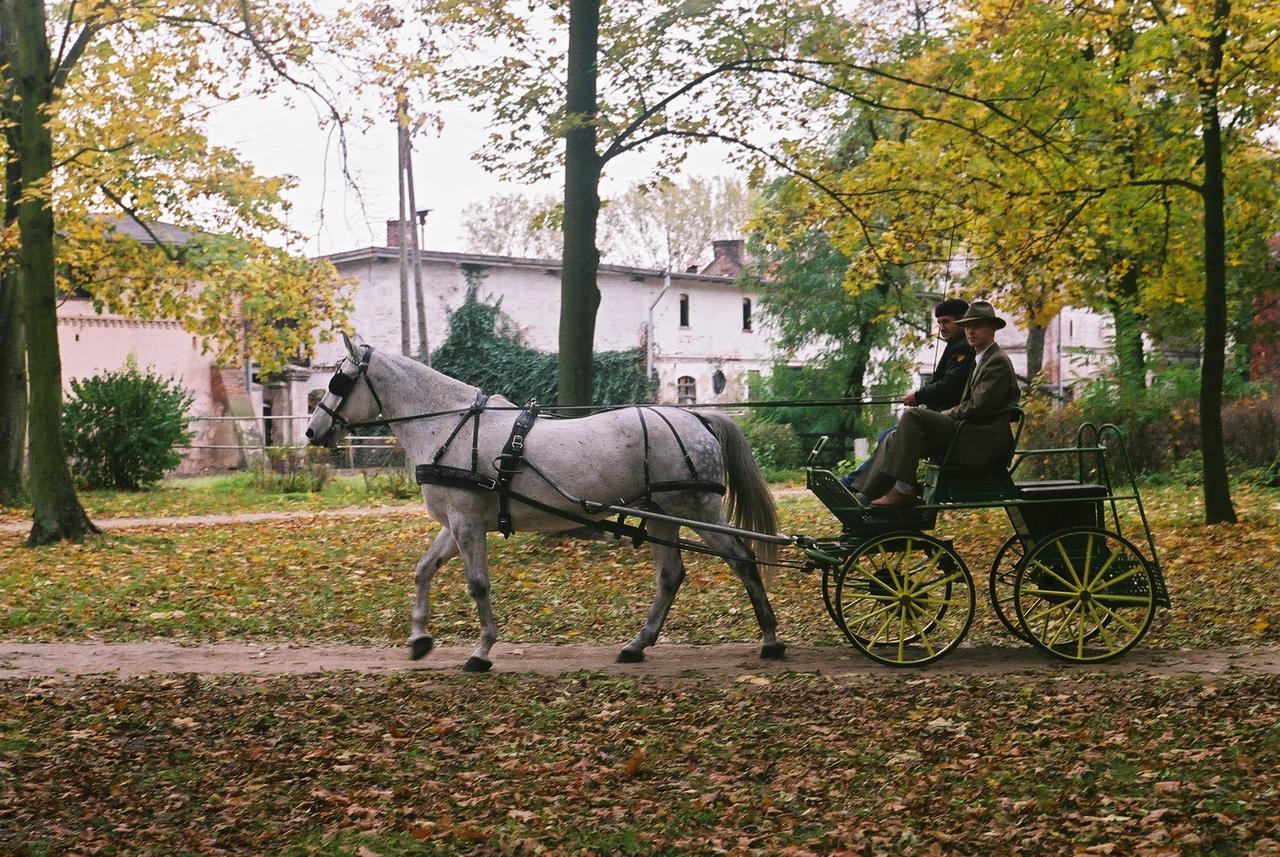 Palac Baborowko Szamotuły Esterno foto